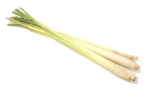 Lemon Grass