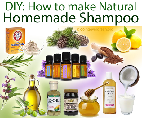 Effektivitet tweet Flyselskaber 6 DIYs for Your Own Homemade Shampoo - Going Evergreen