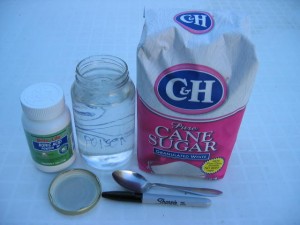 Homemade Indoor Ant Killer Bait with Sugar