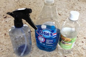 Homemade Glass Cleaner Without Vinegar