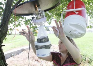 Mosquito Trap Using Dry Ice