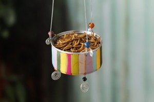 DIY Bird Feeders