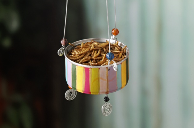 DIY Bird Feeders