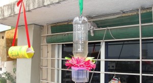 DIY Hummingbird Nectar