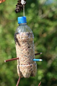 Homemade Bottle Bird Feeder