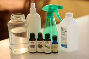 Homemade Bug Repellent