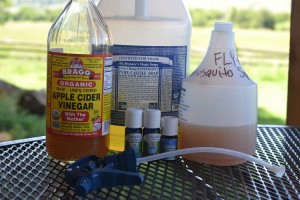 Homemade DIY Vinegar Spray for Fly