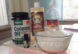 Homemade Dog Shampoo Recipe