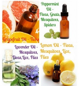 Homemade Natural Bug Repellent