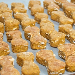 Homemade Peanut Butter Dog Biscuits