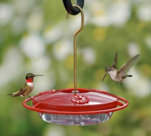 Nectar for Hummingbird Feeder