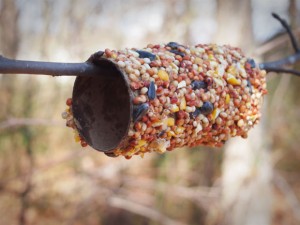 Peanut Butter Bird Feeder