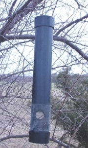 Squirrel Proof Bird Feeder