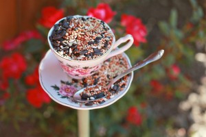 Teacup Bird Feeder