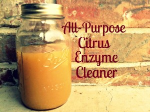 All Purpose Cleaner with Citrus Enzyme