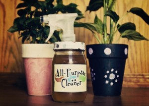 Homemade All Purpose Cleaner