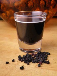 Elderberry Syrup Recipe