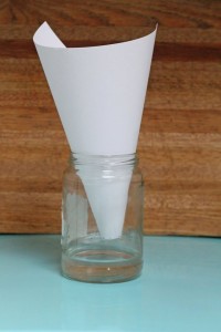 Apple Cider Vinegar Fruit Fly Trap